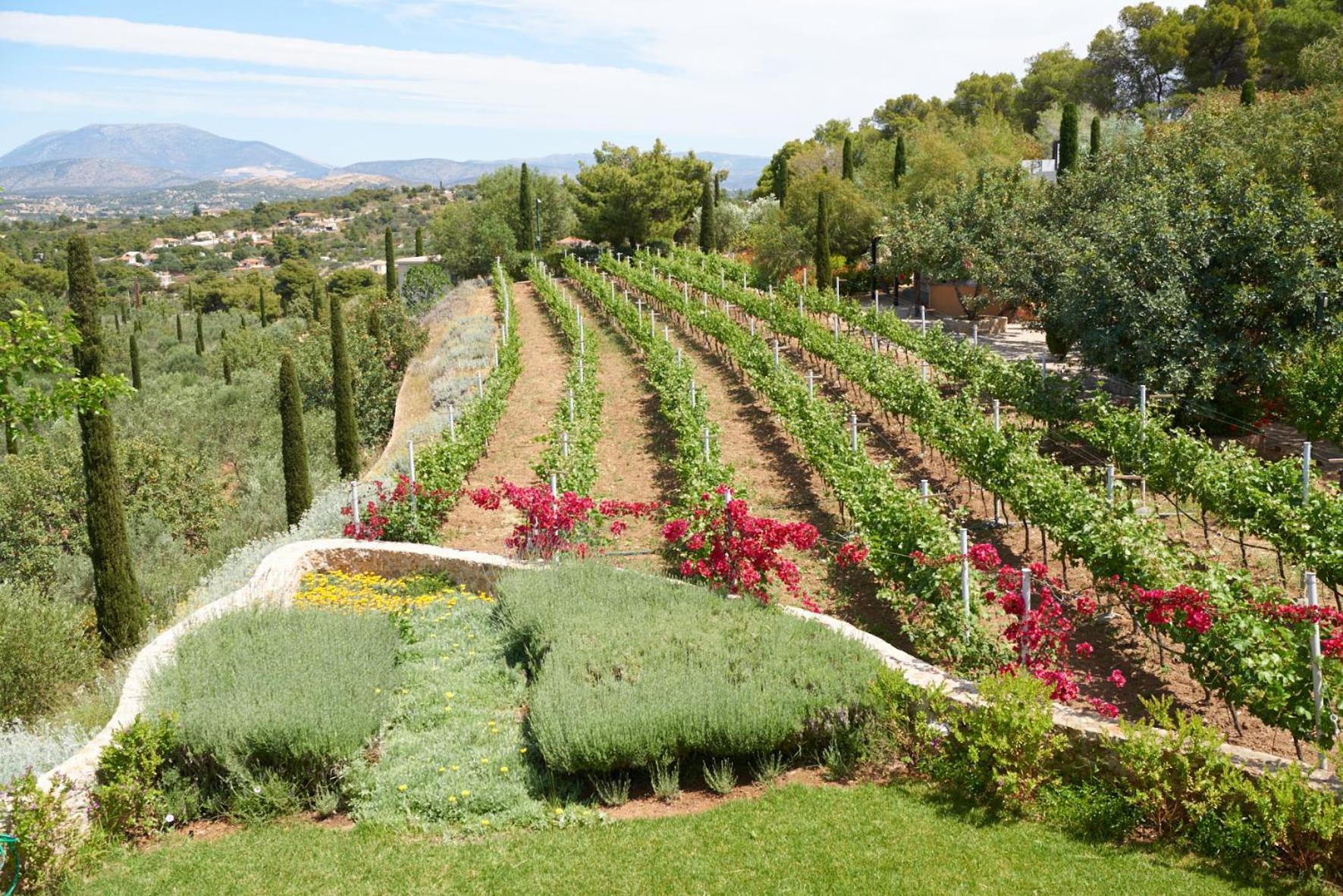 Вилла Vineyard Estate Порто Хели Экстерьер фото