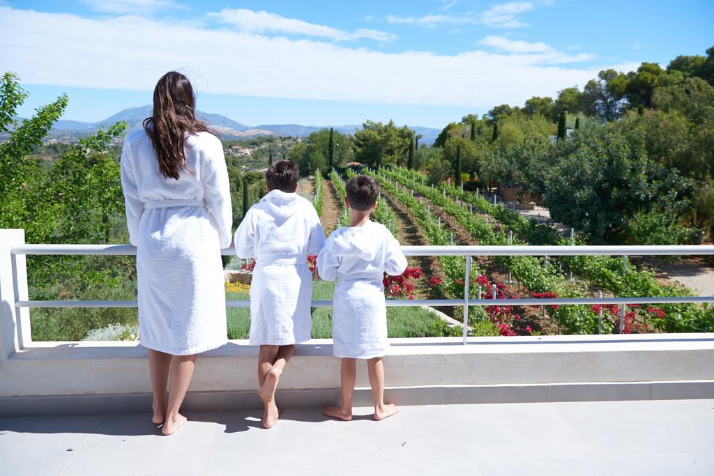 Вилла Vineyard Estate Порто Хели Экстерьер фото